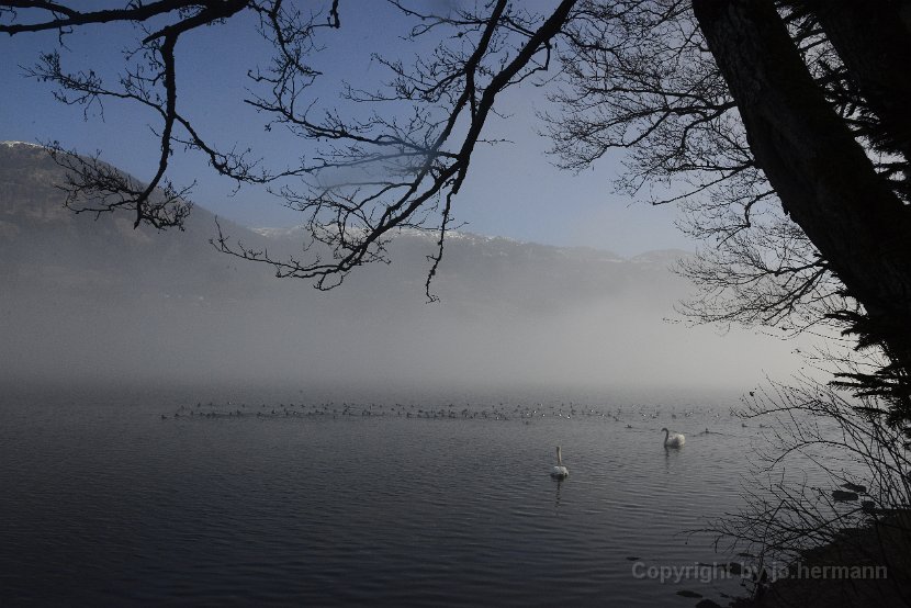 22.02.17 Millstättersee Südufersteig - 17